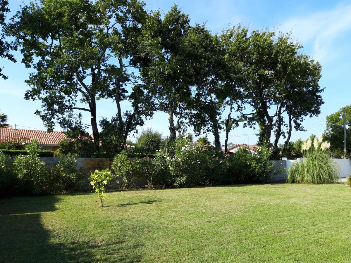 Agreable Maison Sur Le Bassin D'Arcachon アンデルノ・レ・バン エクステリア 写真